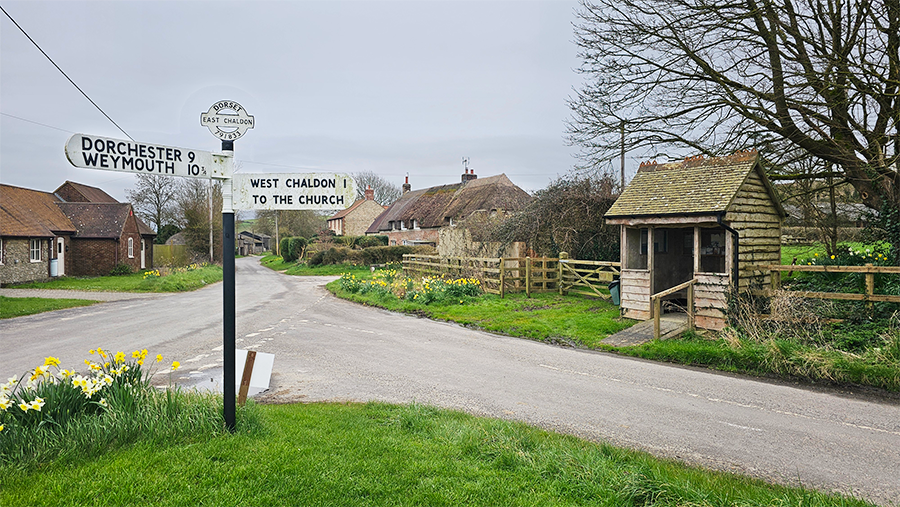 Chaldon Herring village green